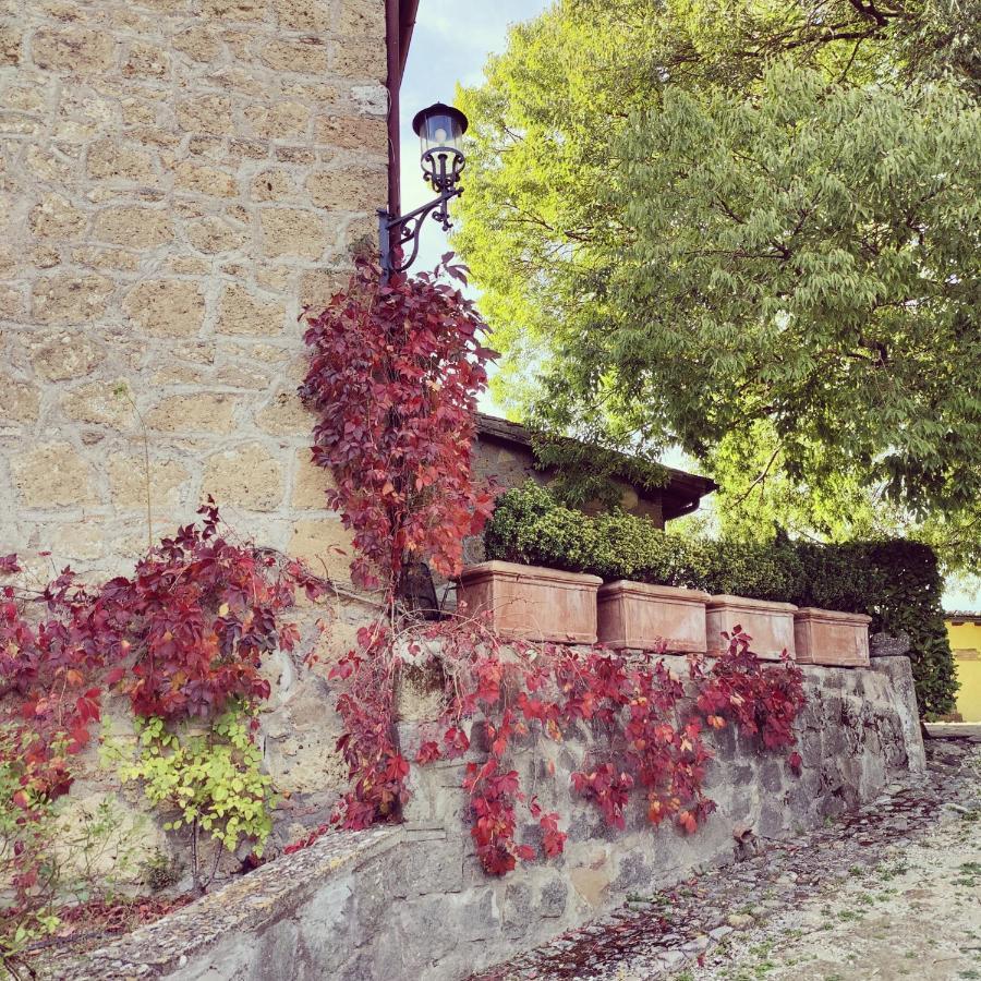 La Locanda Della Chiocciola Orte Extérieur photo
